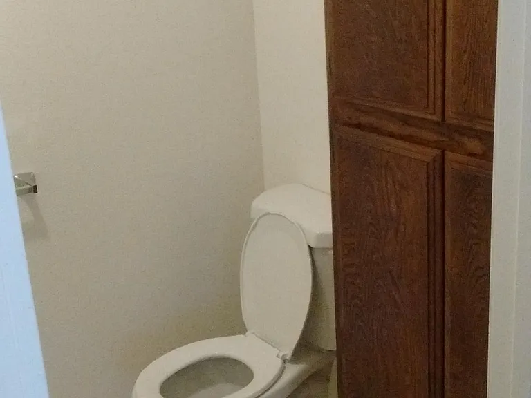 Master toilet and linen closet