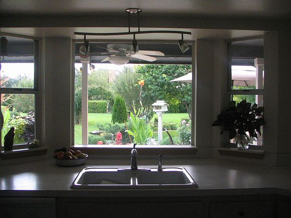 View from kitchen