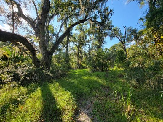 565 NE 833rd St, Old Town, FL 32680