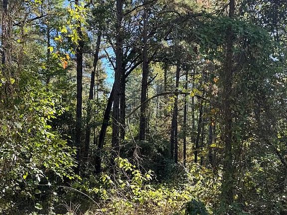 4th image of 0 An County Rd #1232