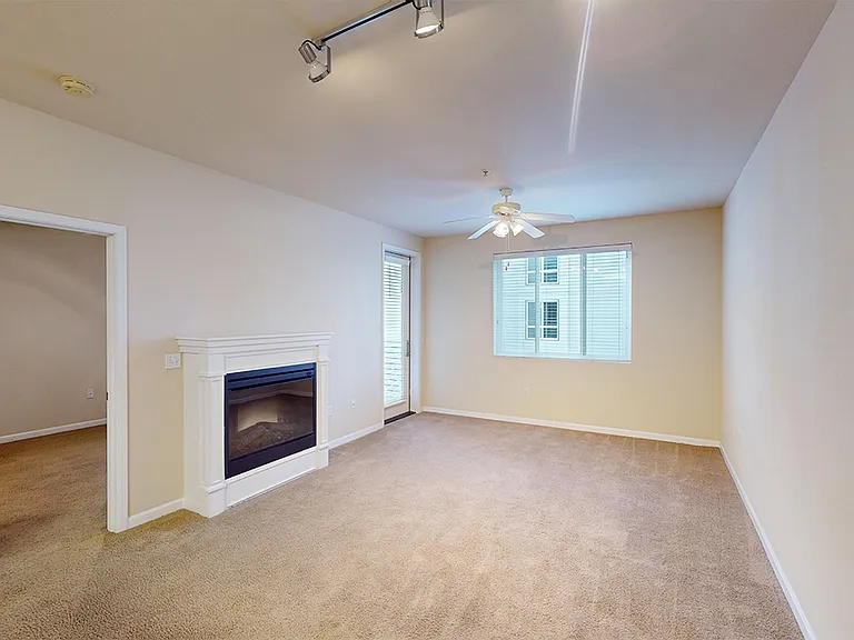 Apartment living room with plush carpet flooring.