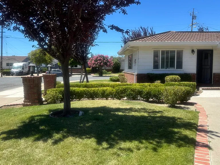 101 Shady Ln — Photo 32