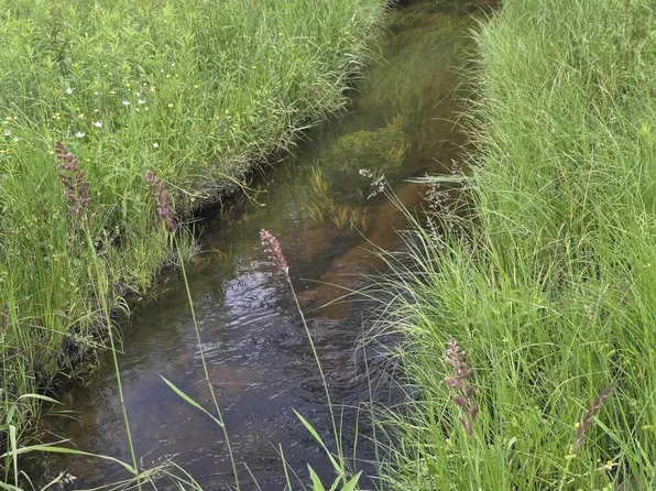 15450 Wildlife Trl, Wolverine, MI 49799