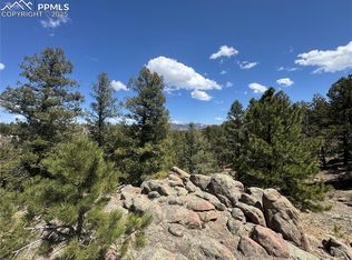 487 Pike View Ln, Florissant, CO 80816