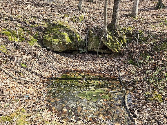 5th image of 2 Maple Grove Rd