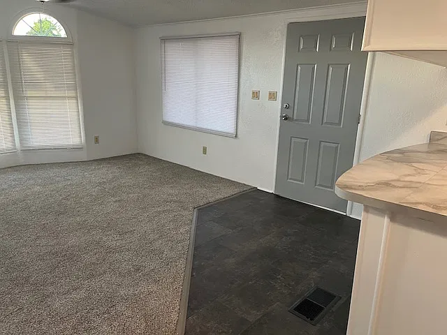 3205 S Dinky Creek Dr — Photo 2