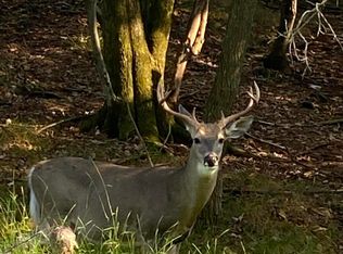 356 Robertson Rd, Jim Thorpe, PA 18229