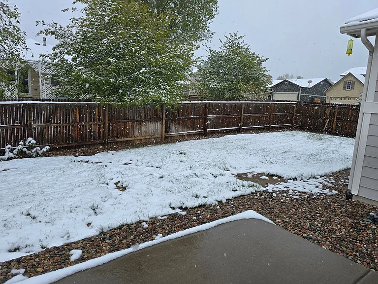 4424 Poplar Brook Dr — Photo 9