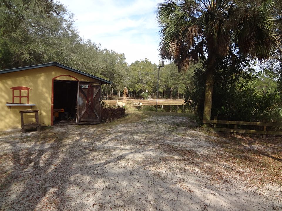 shed next to pond