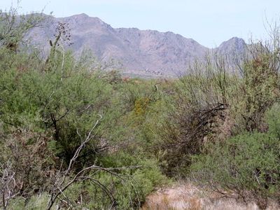 0 E Hedgehog Pl LOT 2, Scottsdale, AZ, 85262