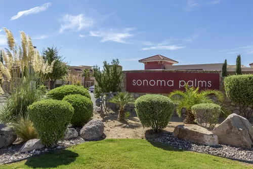 Sonoma Palms Photo 1