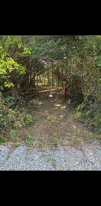2nd image of 244 Mud Bridge Rd