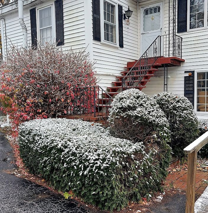 1st image of 20 Free St APT 201