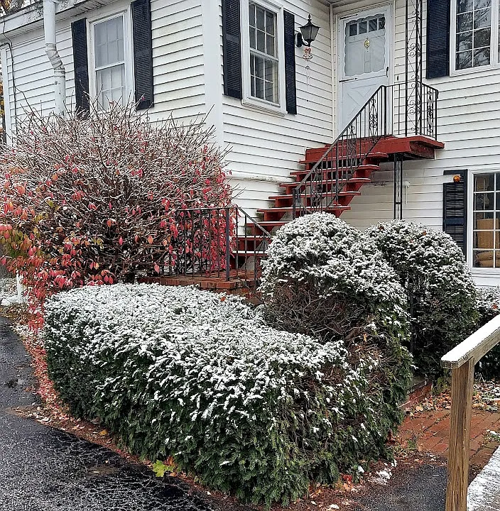 20 Free St #201