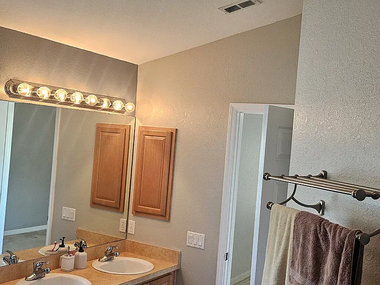 11110 Goldenrod Fern Dr — Photo 23