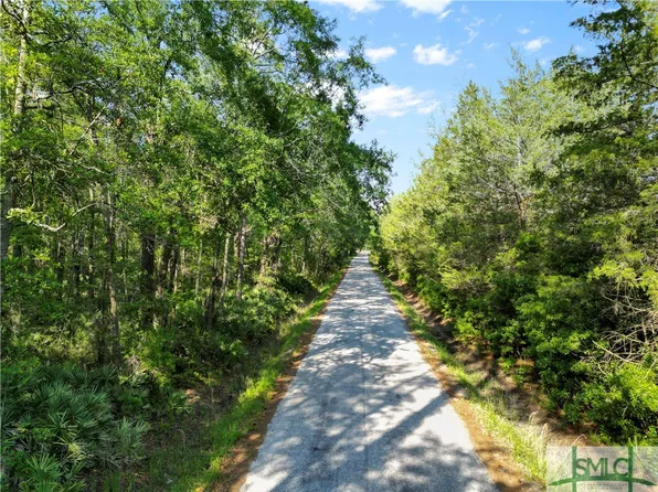 0 Nellie Road, Rincon, GA 31326