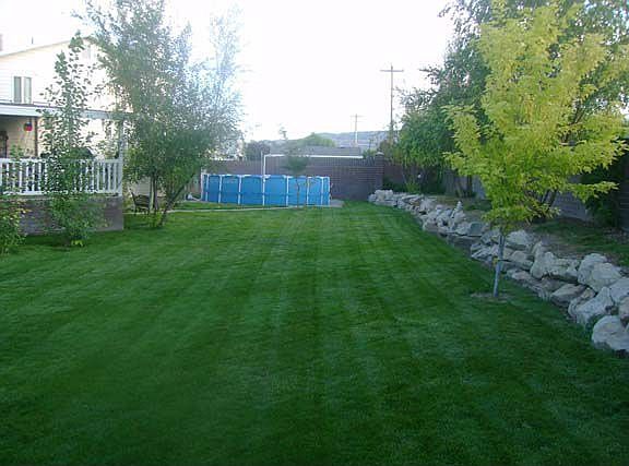 BACK YARD