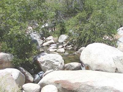 Peaceful Setting