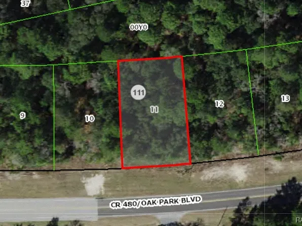 6613 W Oak Park Blvd, Homosassa, FL 34446
