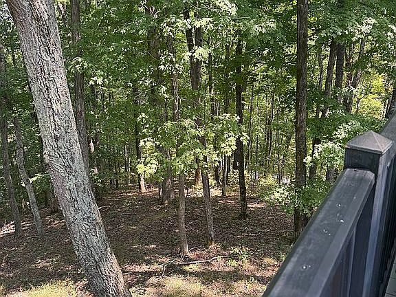 5th image of 4162 Pikes Ridge Rd