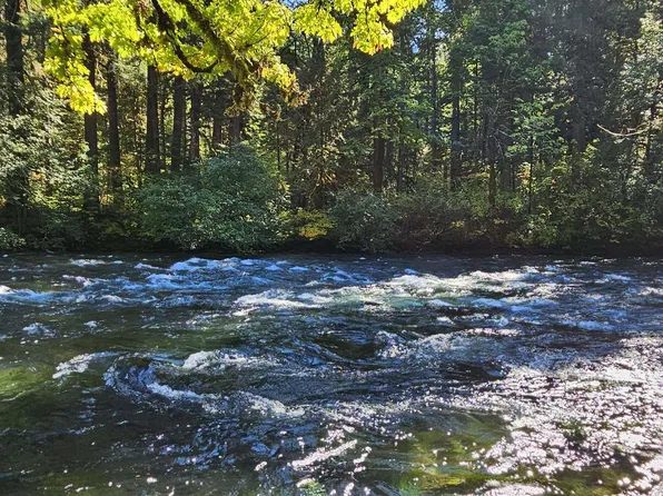 55690 McKenzie River Dr, Blue River, OR 97413