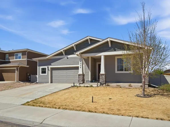 3928 River Birch St, Wellington, CO 80549