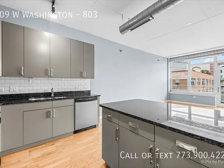 909 W Washington #803 — Photo 8