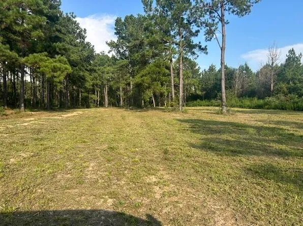 0 New Hope Rd, Sandy Hook, MS 39478