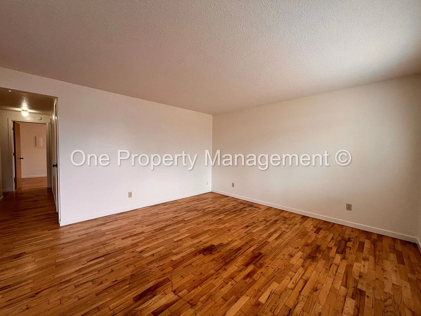 One Level Duplex Near Peace Health — Photo 4