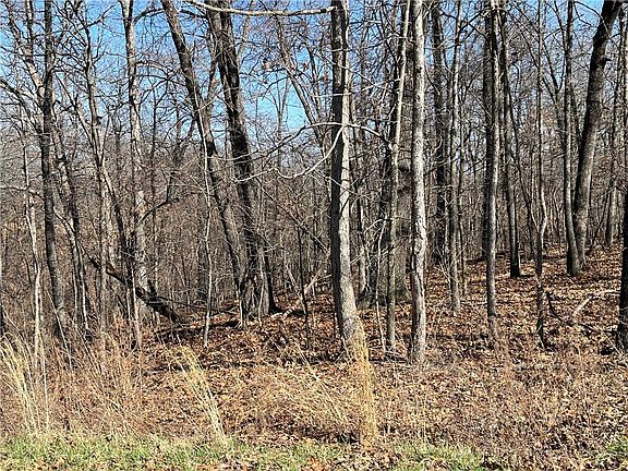 2nd image of Dumfries Dr #1