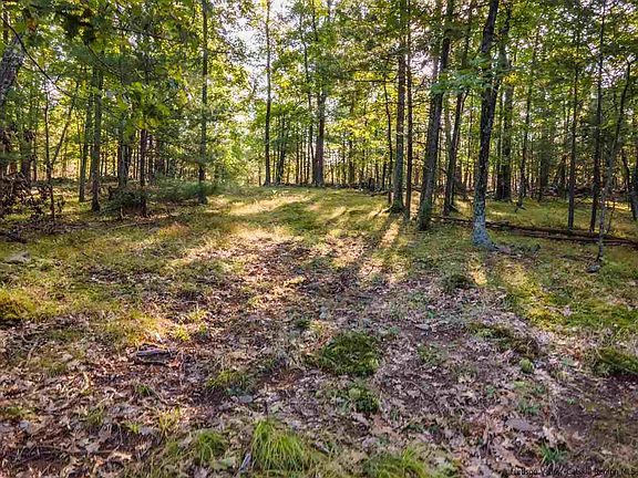 5th image of Old Echo Hill Rd