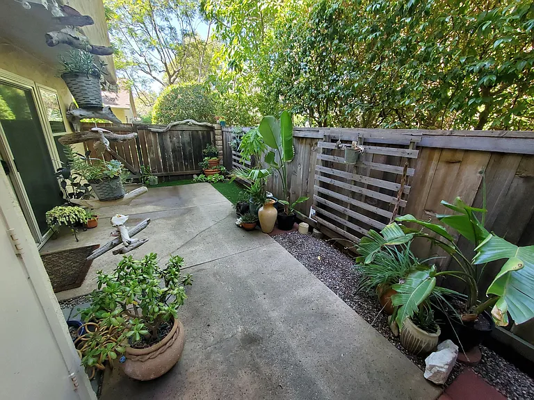 Back Patio