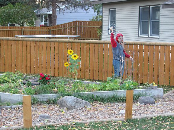 SIDE YARD & GARDEN
