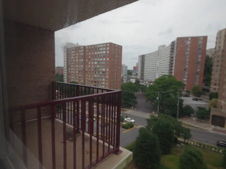 Balcony and View of Silver spring