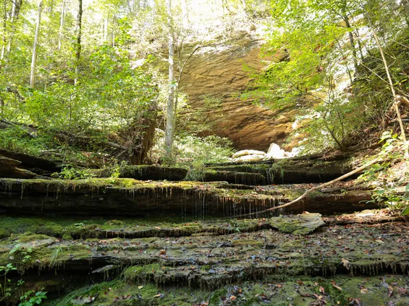 335 Nelson Cemetery Rd, Monroe, TN 38573