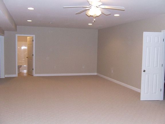 basement media room