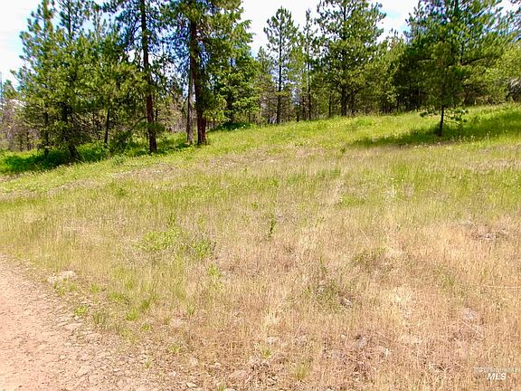 2nd image of Jackpine Rd