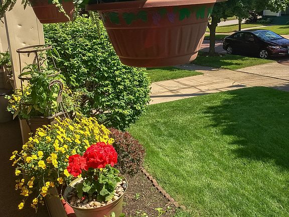 View from porch 
