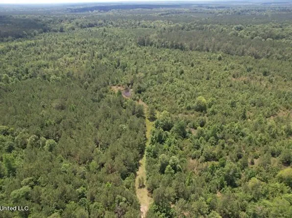 County Road 290, Pachuta, MS 39347