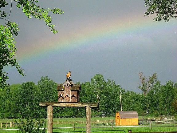 Backyard view to west