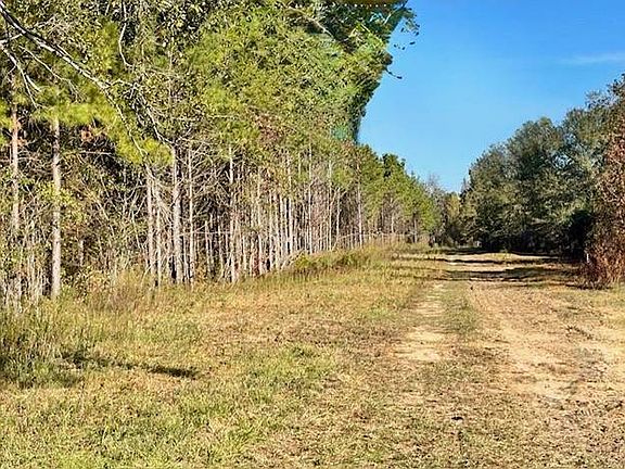 2nd image of 560 Jones River Rd