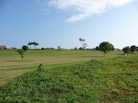 3rd image of LOT 1775