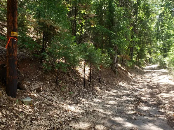 00 Upper River Ave Street, Dunsmuir, CA 96025