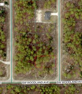 Tbd SW Buena Vista Road, Dunnellon, FL, 34431