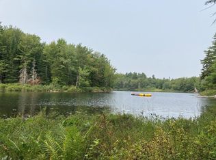 LOT 379 Halfmoon Pond Rd, Grafton, NH 03240