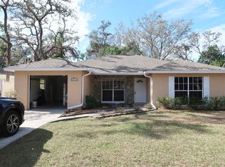 10410 Connechusett Rd, Tampa, FL 33617