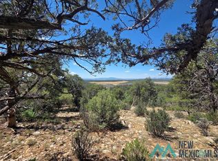 LOT 16th Rd UNIT 4, Tierra Amarilla, NM 87575