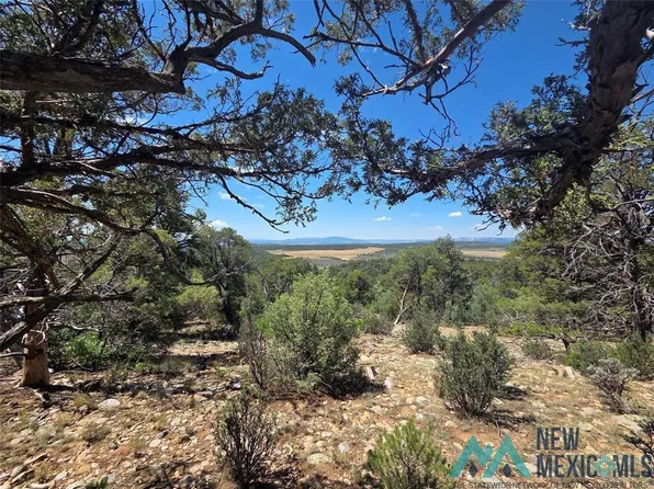 LOT 16th Rd Unit 4, Tierra Amarilla, NM 87575