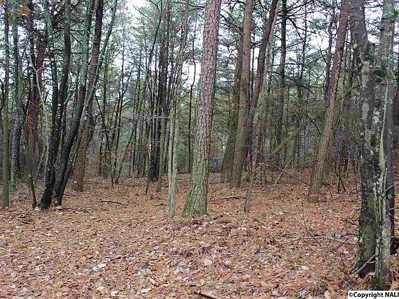 5th image of 8 County Road 822