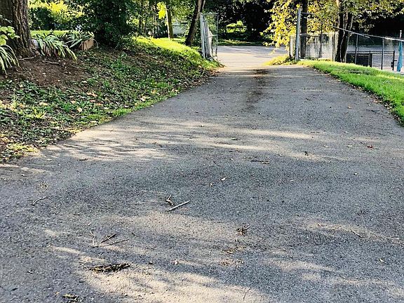 Long driveway to extra large fenced yard